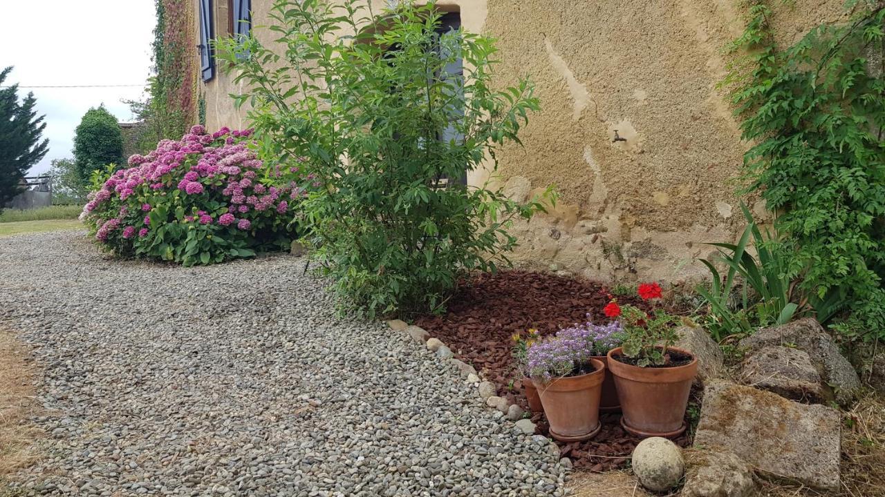 Le Peyroutet Apartamento Cazaux-Villecomtal Exterior foto