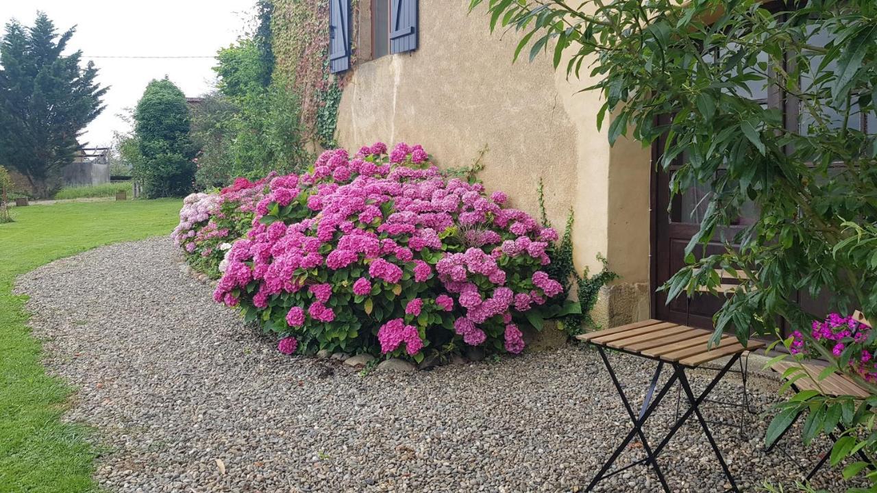 Le Peyroutet Apartamento Cazaux-Villecomtal Exterior foto