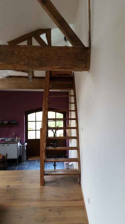 Le Peyroutet Apartamento Cazaux-Villecomtal Exterior foto